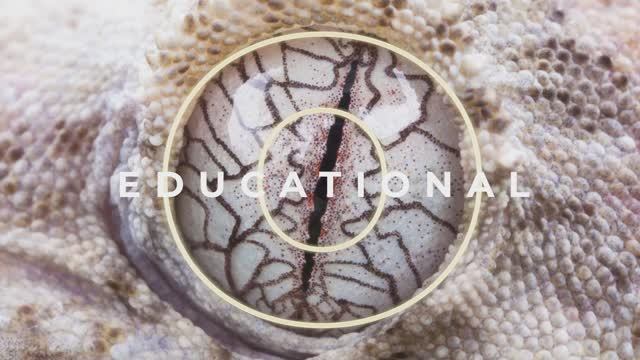 МОСТ КОРОТКИЙ ENG 2022