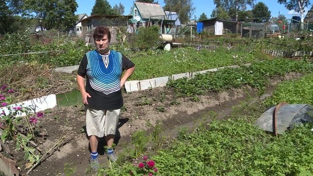 «Сады и огороды Приморья». ОКТЯБРЬ.