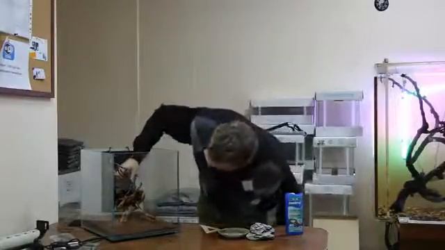 Мир Аквариумистики #2 Создание нового аквариума смотреть онлайн