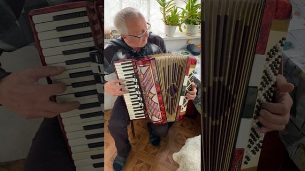 Barcarole Prominenz Piano accordion, 120 Bass, 4 voices, Professional Accordion, 11+3 Registers