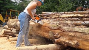 Stihl MS251C Chainsaw.