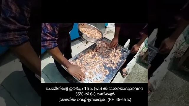 Hygienic dry shrimp production technology using ICAR-CIFT Dryers - Malayalam смотреть онлайн