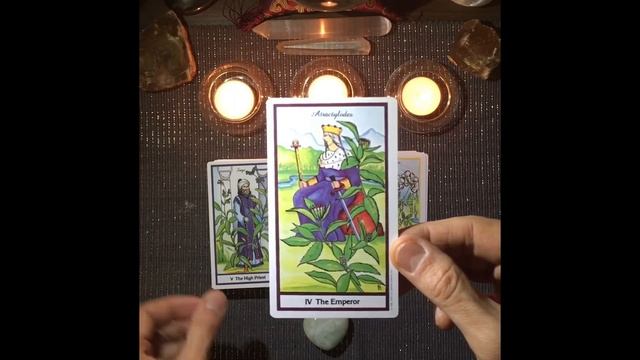 Unboxing & Walkthrough of The Herbal Tarot смотреть онлайн