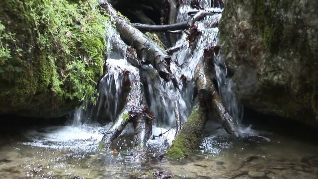 Дикий поход на водопад в Крыму смотреть онлайн