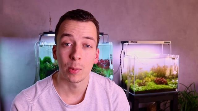 AQUARIUM ALGAE GUIDE Ep #1 Black Beard Algae - How to KILL BBA смотреть онлайн