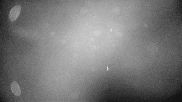 Рыбалка на ельца смотреть онлайн