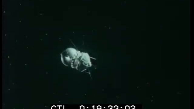 Гагарин в космосе в кабине космического корабля Космический корабль в космосе Место приземления смотреть онлайн