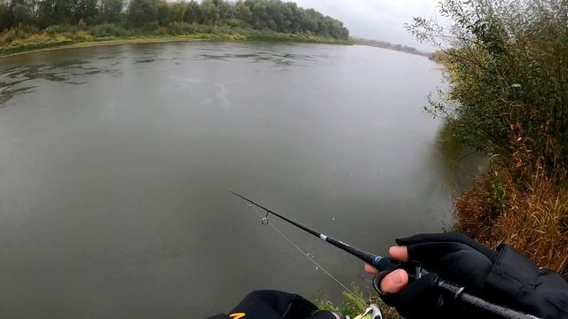 Спиннинг Crazy Fish Alpha. Первая рыбалка и первые щуки!