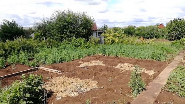 Мини обзор нашей 3 ? дачи) смотреть онлайн