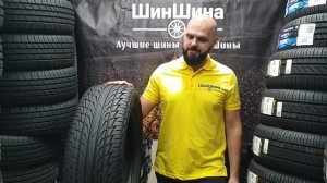 Белшина Astarta SUV 225/60 R18 100H