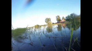 Дразним рыбаков Лещовая раздача