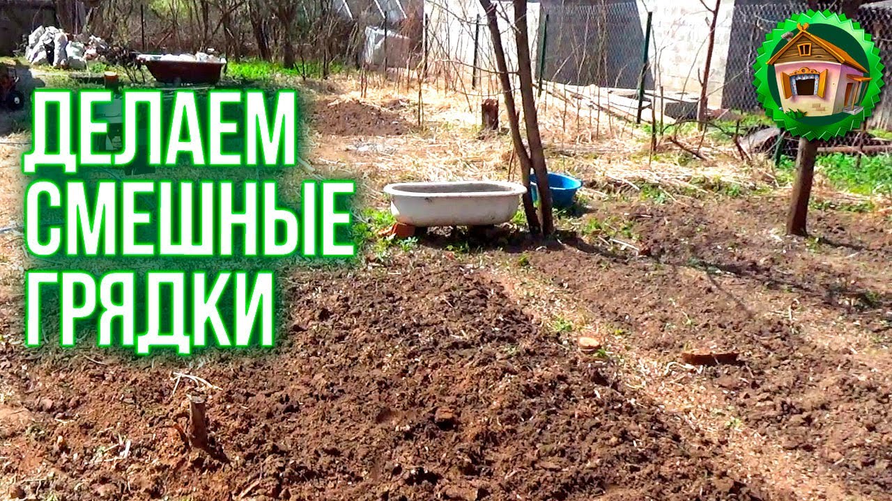 Вскопали целину. Делаем смешные грядки. Как Сделать Грядки. Спасли Гнездо Сороки. 16 серия смотреть онлайн