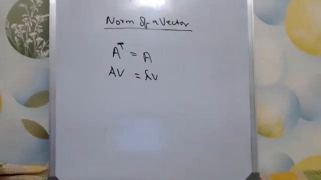 [DScWB] L2 Norm of a Vector and Symmetric Matrix - 2 смотреть онлайн