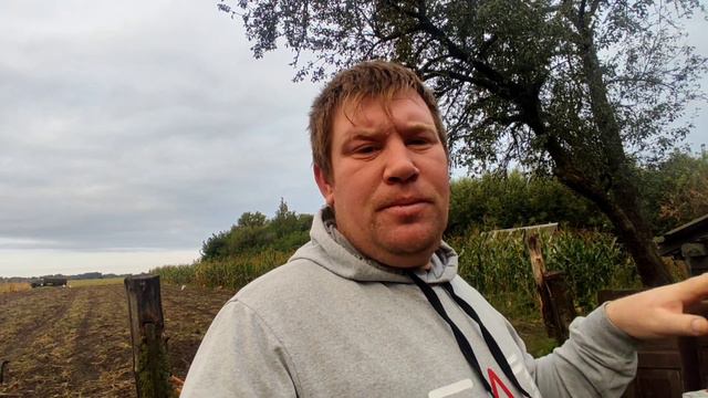 Гусёнок жив дал антибиотик!!! смотреть онлайн