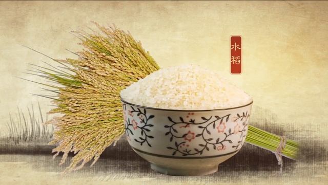 Guangzhou Stories : Part 1 A Glance Back