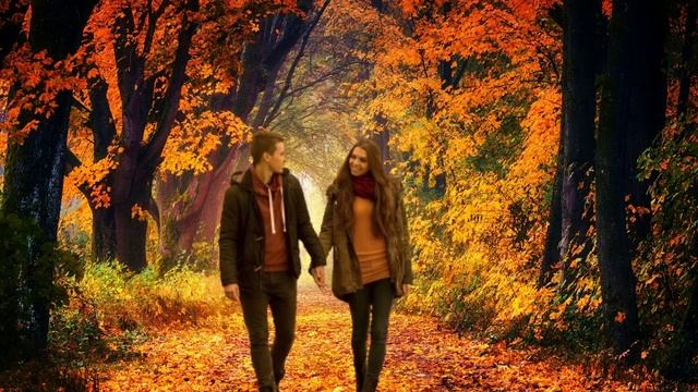 осенние листья