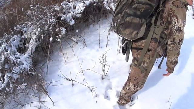 Организация подкормочных площадок для фазана. Биотехнические мероприятия. Сообщество Охотники.кз смотреть онлайн