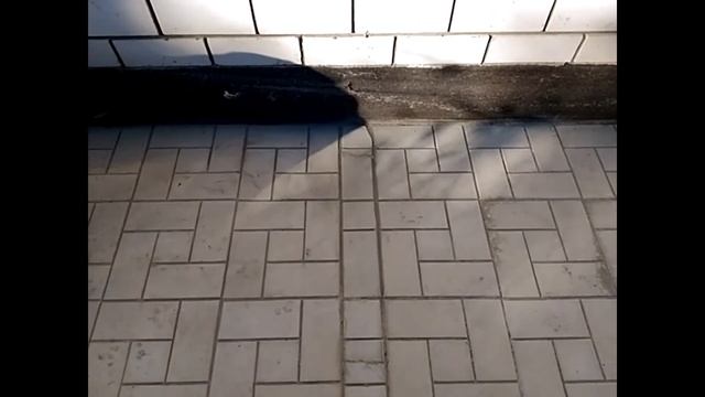 Тротуарная плитка по отмостке гаража. смотреть онлайн