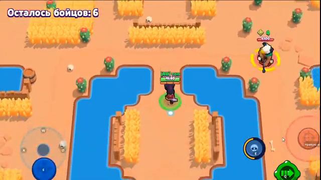 Стрим по бравл старс с подписчиками и с теми кто подпишеться смотреть онлайн