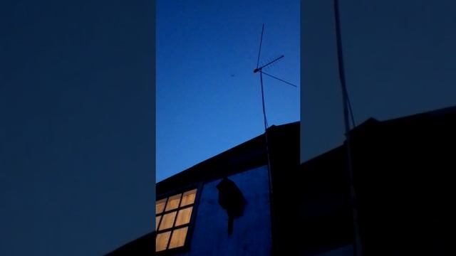 Летучие мыши на даче смотреть онлайн