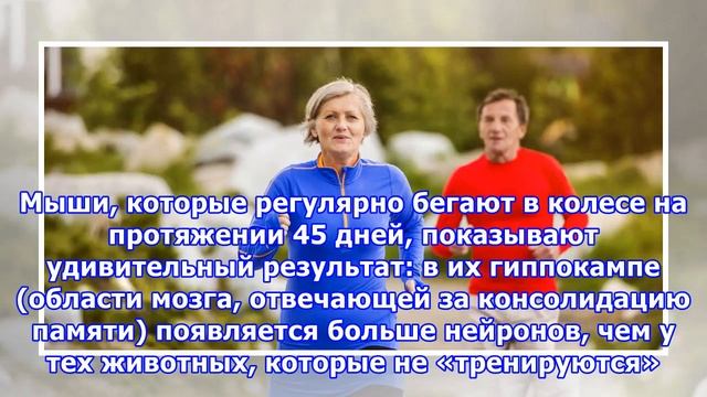 Занятия спортом помогут стать умнее и сохранить рассудок в старости смотреть онлайн