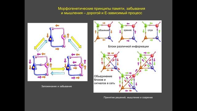 Биология цифровизации смотреть онлайн