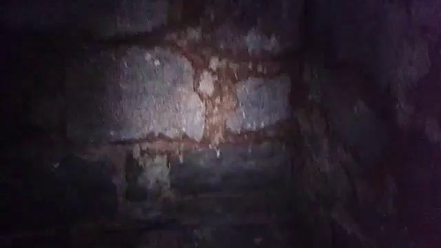 Заброшенный подвал. Гладышевское озеро смотреть онлайн