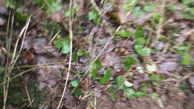 ВСКРЫВАЕМ ТО, ЧТО ОСТАЛОСЬ! КОП, ГДЕ ЖИЗНЬ КИПЕЛА В 14-16В смотреть онлайн