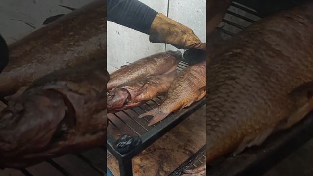 Сомик, карпик и форель. Каньон рыбалка и отдых в Подмосковье. #каньон смотреть онлайн