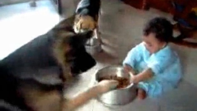 Борьба за еду смотреть онлайн