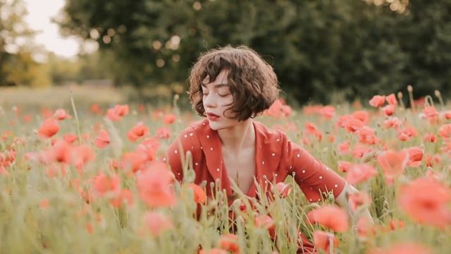 ВОЛОШКОВЕ ПОЛЕ Автор В'ячеслав Тищенко смотреть онлайн