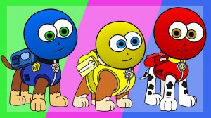 Весёлая РАСКРАСКА. Рисуем Щенячий Патруль и Учим Цвета с персонажами Мультика