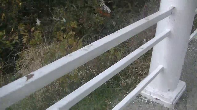 Большой Утриш 05.10.2016 смотреть онлайн