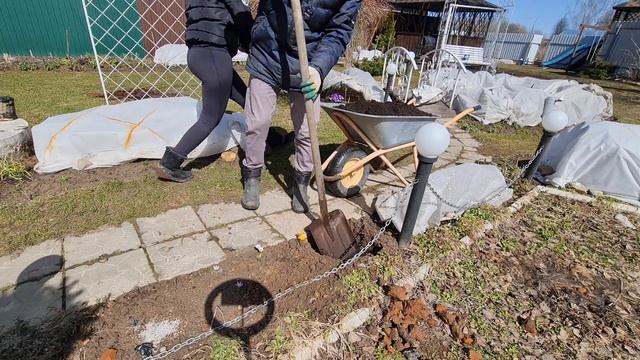 Дела весенние. Сажаем с мужем розы! смотреть онлайн