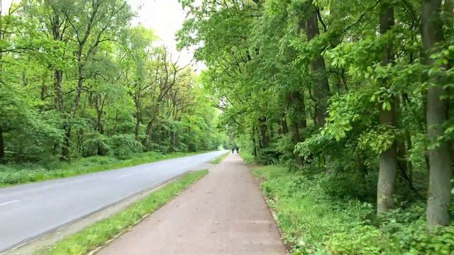 Сельская жизнь в деревне.Польская деревня! смотреть онлайн