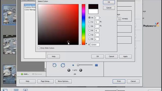 Learn how to use Photoshop Elements 11 - Part 21 - How to make a contact sheet in Photoshop смотреть онлайн