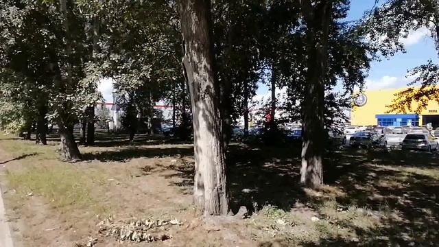 Выгрузка и две загрузки нереальны... $1237 смотреть онлайн