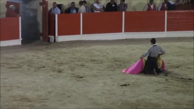 Как встречает быка тореадор.Вот это да! смотреть онлайн