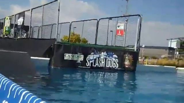 Dixon's first Splash Dog competition