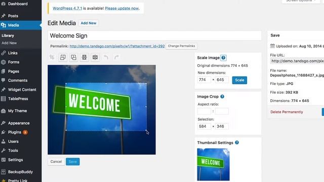 Cropping an image in WordPress - PixelTV Ep. 40 смотреть онлайн