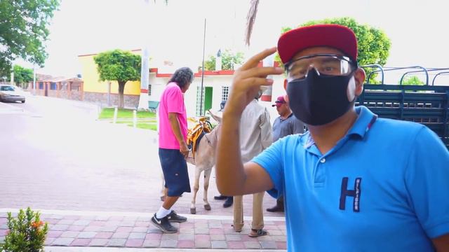 🇲🇽ofrece 2 MILLONES don cande al guapo rosa 😊 el burro es un regalo del se Iván Báez смотреть онлайн