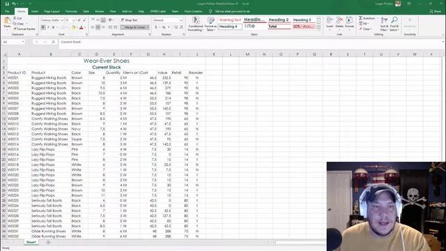 Simnet Microsoft Excel Guided Project 1-3 Nordell In Practice смотреть онлайн