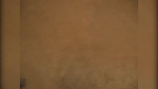 Дети и животные видео приколы | Смешные животные до слез лучшее /Животные в первый раз видят детей смотреть онлайн