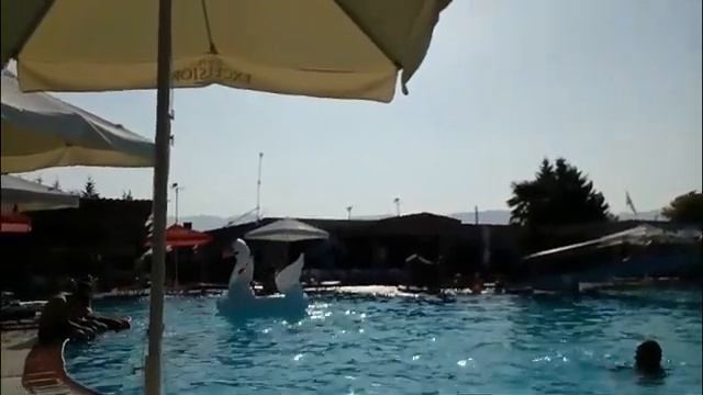 Надувной лебедь в бассейне. Inflatable swan swims in the pool. смотреть онлайн