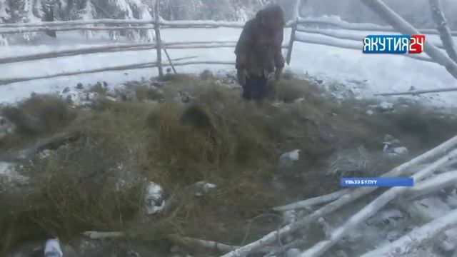 «Саха сирэ» информационнай биэрии. Олунньу 26 күнэ, 20:30 ч