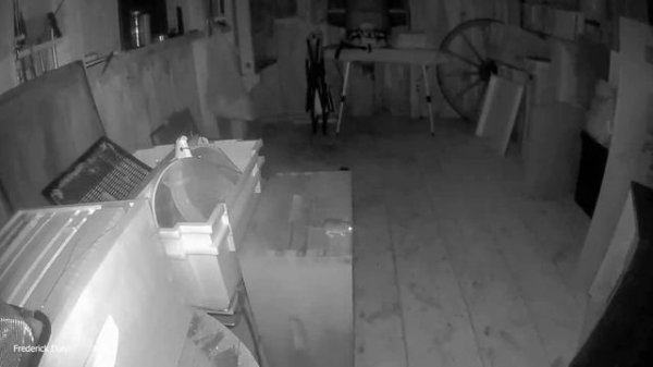 The Best Mousetrap Ever Made by Rinne Traps, Bucket top resetting Flip N Slide repeater rodent trap