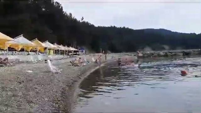 9 июня 2023, пляж санатория Зелёная долина, 09:00 утра смотреть онлайн