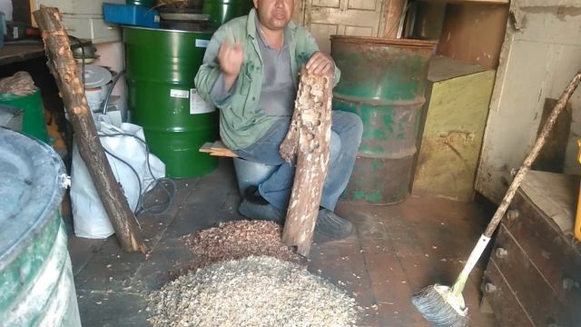 Варим сало в луковой шелухе,добываем щепу для холодного копчения смотреть онлайн