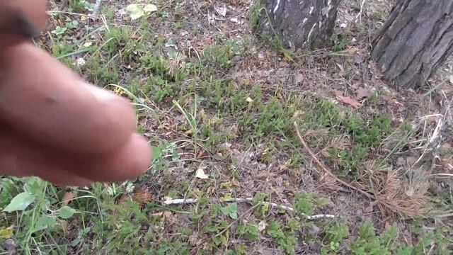 22 копейки и сломанный прибор смотреть онлайн