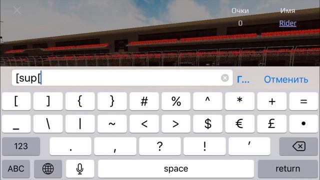 Как писать красиво в чате Russian Rider Online (RRO)